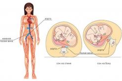 Εγκυμοσύνη: κανόνες κυκλοφορίας